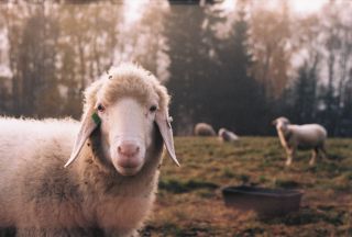 Taky vyhlížíte babí léto? Kéž by přišlo už tento víkend! Kdo se taky chystá do přírody? . . #nature #priroda #ceskapriroda...